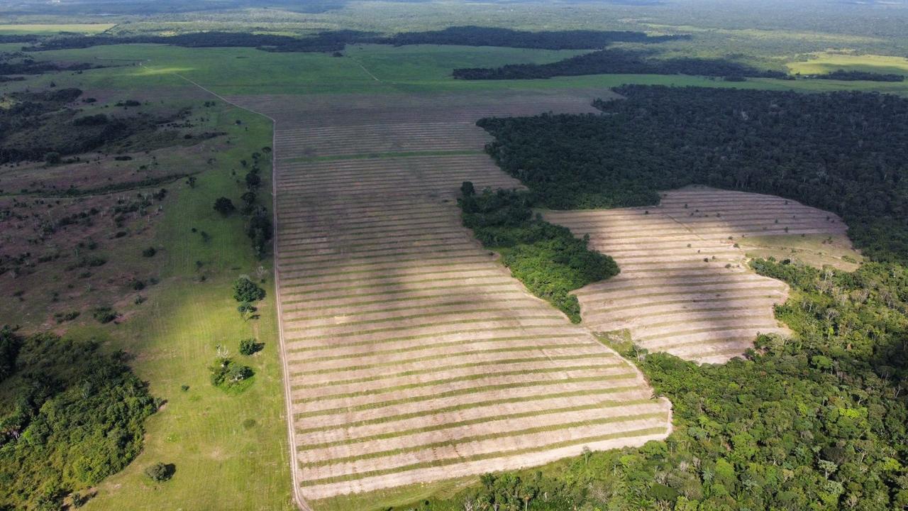 Vista aérea de áreas produtivas da BioAmaz no Pará